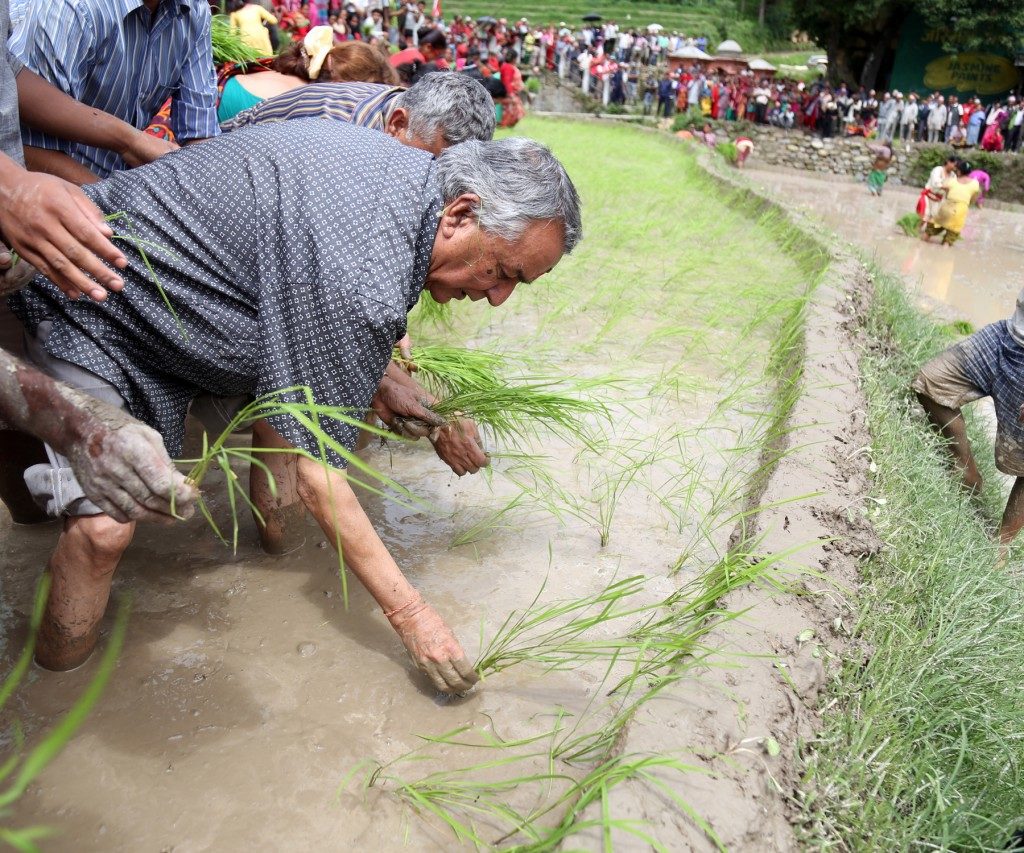 किसान र मजदूरका नेता रामचन्द्र पौडेल