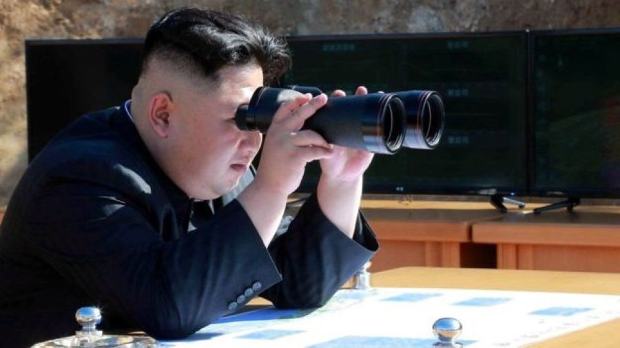 उत्तर कोरियाली नेता कीम बिरामी छैनन् – दक्षिण कोरिया