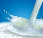 दूधको अभावमा बरमझियाको पेडा व्यवसाय प्रभावित
