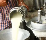 दूध बेचेर महिनामा रु २५ / २६ हजार आम्दानी