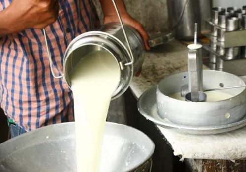 दूध बेचेर महिनामा रु २५ / २६ हजार आम्दानी