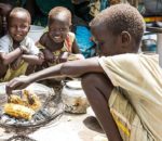 अफ्रिकामा खाद्य सुरक्षा बढाउन आह्वान