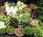 युवा तरकारी खेतीमा रमाउँदै : उत्पादित तरकारी बारीमै बिक्री