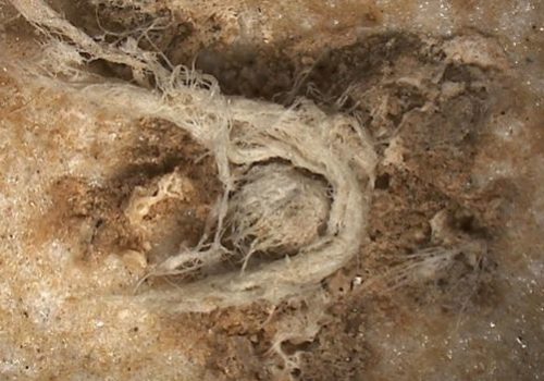 फ्रान्सको एउटा गुफामा ५० हजार वर्ष पुरानो डोरी भेटियाे