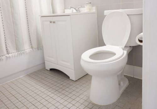 कोरोनाभाइरस – शौचालयमा फ्लस गर्दा पनि सर्नसक्छ