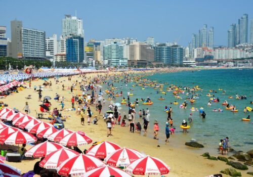 कोरियाको समुद्री तटमा मास्क नलगाए २५ सय अमेरिकी डलर जरिवाना
