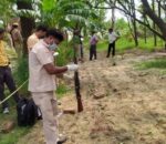 भारतमा एकजना डिएसपीसहति आठ प्रहरीको हत्या