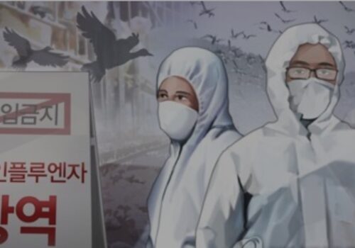 दक्षिण कोरियाली कुखुरा फारमहरुमा पाइयो खतरनाक ‘एभियन फ्लु’